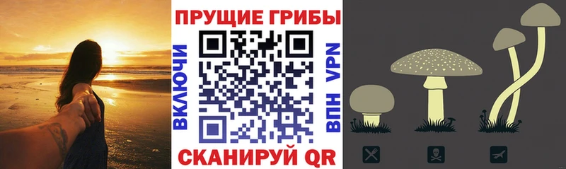 Псилоцибиновые грибы GOLDEN TEACHER  дарнет шоп  Юрюзань 
